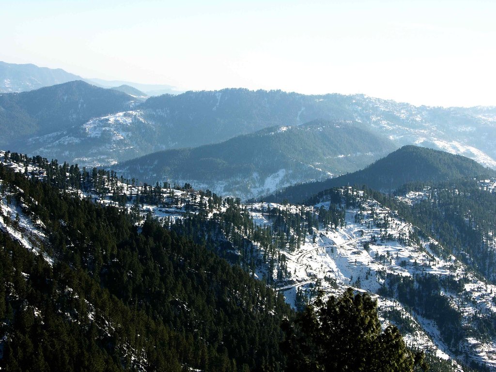 Murree