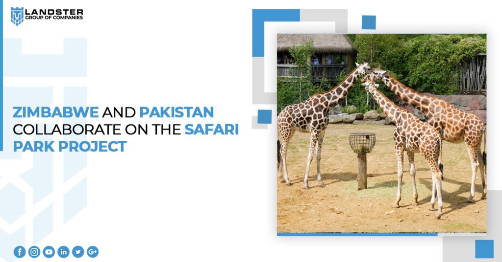 Safari Park Project